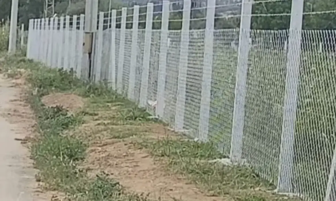 Dikenli Tel Güvenlik Uygulamaları